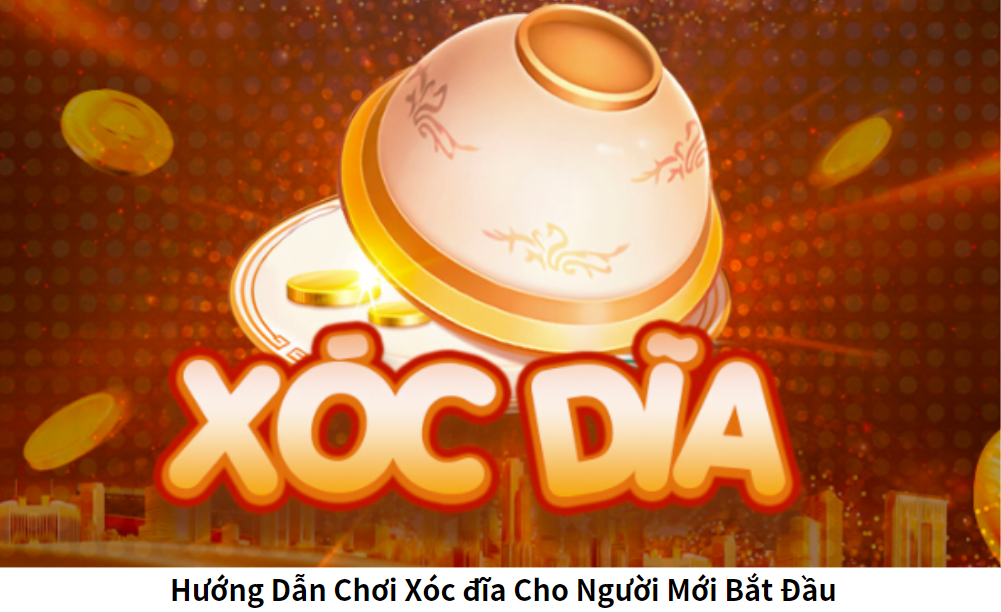 Hướng Dẫn Chơi Xóc đĩa Cho Người Mới Bắt Đầu